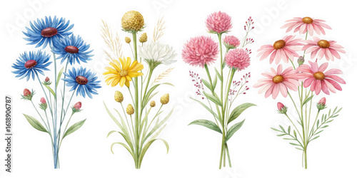 Watercolor bouquets of wildflowers on a black background