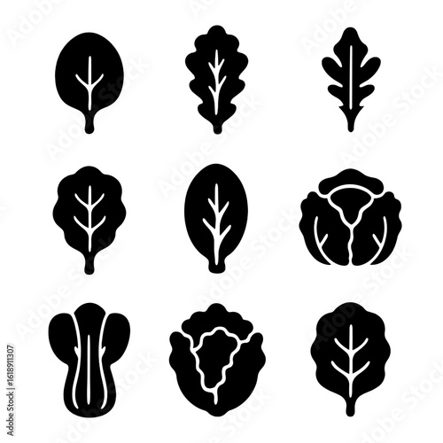 Leafy Greens Icons. Solid, filled icon set of leafy greens: spinach, kale, arugula, swiss chard, romaine, cabbage, bok choy,