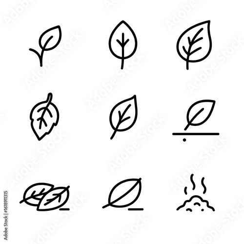 Leaf Growth Icons. Solid, filled icon set of leaf growth stages: bud, young leaf, mature leaf, senescing leaf, abscission layer,