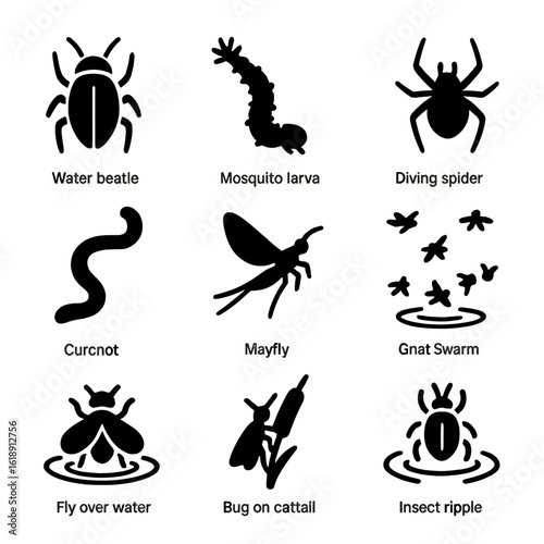 Aquatic Insect Icons. Solid, filled icons set of aquatic insects and small creatures: water beetle, mosquito