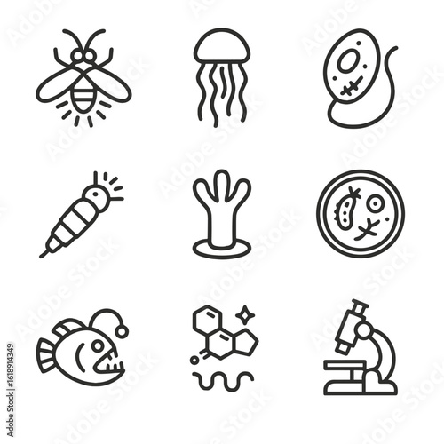 Bioluminescent Organisms Icons. Outline icon set of bioluminescent organisms study: firefly, jellyfish, dinoflagellate, deep-sea