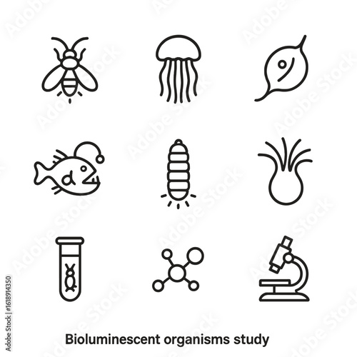 Bioluminescent Organisms Icons. Outline icon set of bioluminescent organisms study: firefly, jellyfish, dinoflagellate, deep-sea