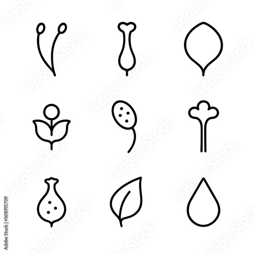 Flower Anatomy Icons. Outline icon set of flower anatomy for pollination: stamen, pistil, petal, nectary, pollen sac, stigma,