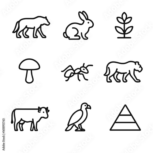 Food Web Icons. Outline icon set of food web dynamics: predator silhouette, prey silhouette, producer plant, decomposer fungus,