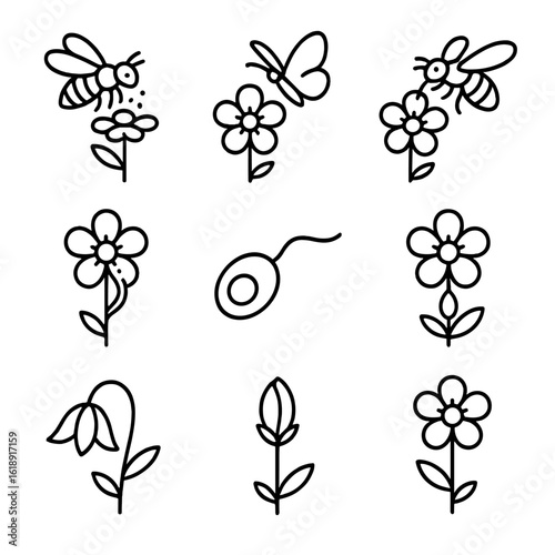 Pollination Process Icons. Outline icon set of pollination process stages: insect landing, pollen transfer, nectar collection,