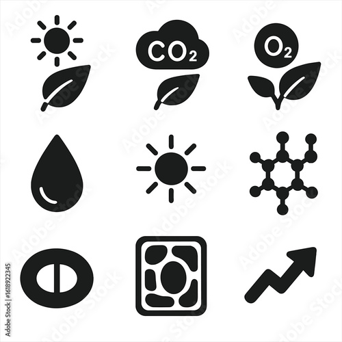 Photosynthesis Icons Grid. Solid, filled icons set of photosynthesis process: leaf with sun, CO2 entry, oxygen