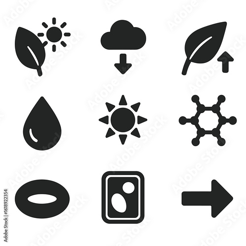 Photosynthesis Icons Set. Solid, filled icons set of photosynthesis process: leaf with sun, CO2 entry, oxygen