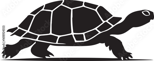 turtle tortoise silhouette