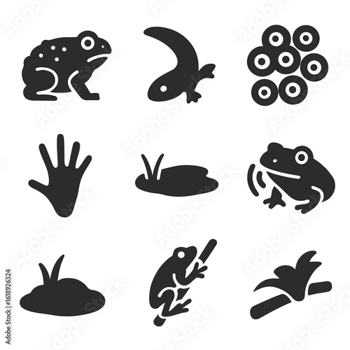 Wetland Amphibian Icons. Solid, filled icons set of amphibians in wetland zones: toad with warts, salamander