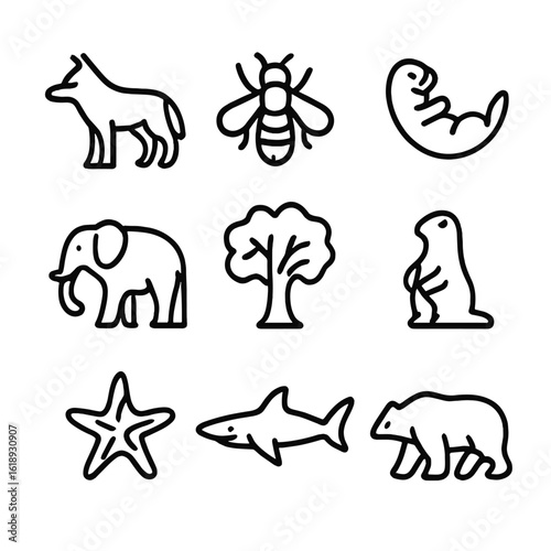 Keystone Species Icons. Outline icon set of keystone species: wolf, bee, sea otter, elephant, fig tree, prairie dog, sea star,