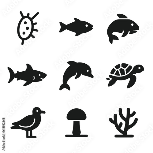 Marine Food Chain Icons. Solid, filled icon set of marine food chain: plankton, small fish, bigger fish, shark, dolphin, sea