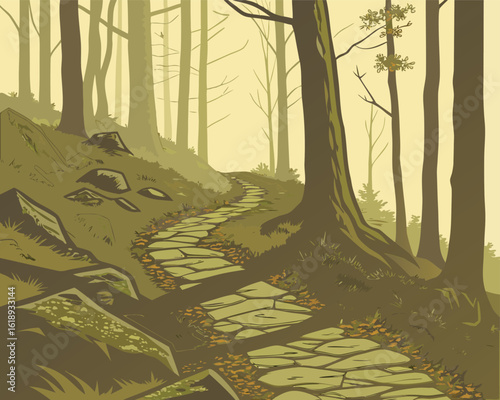 Hiking Trail Through Forest | Wilderness Trail Through Trees