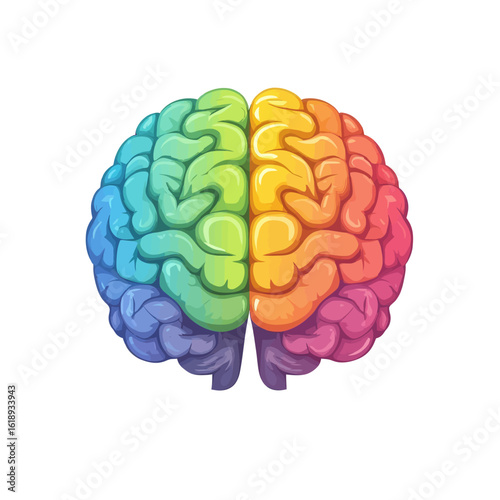 human brain isolated on white