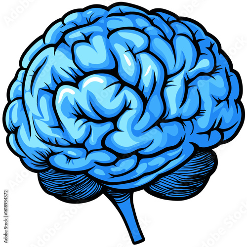 human brain vector illustration