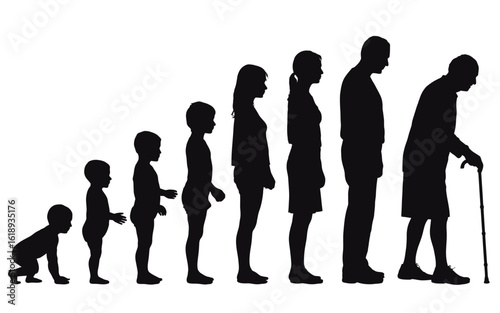 Human life stages from infancy to old age silhouette isolated on white background