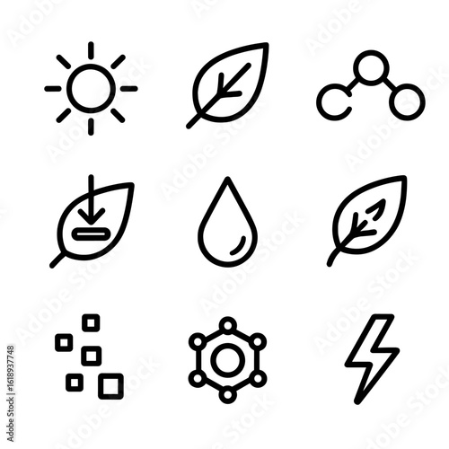 Photosynthesis Icon Set. Solid, filled icon set of leaf photosynthesis process: sunlight, chloroplast, carbon dioxide intake,