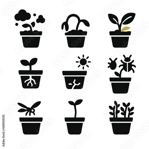 Potted Plant Problems Icons. Solid, filled icons set of common problems in potted seed growing: mold icon,