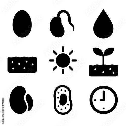 Seed Germination Icons. Solid, filled icons set of how seeds germinate: seed, sprouting root, moisture drop,