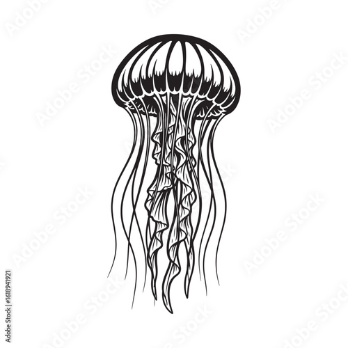 The Mesmerizing Dance of the Jellyfish Through the Ocean's Depths