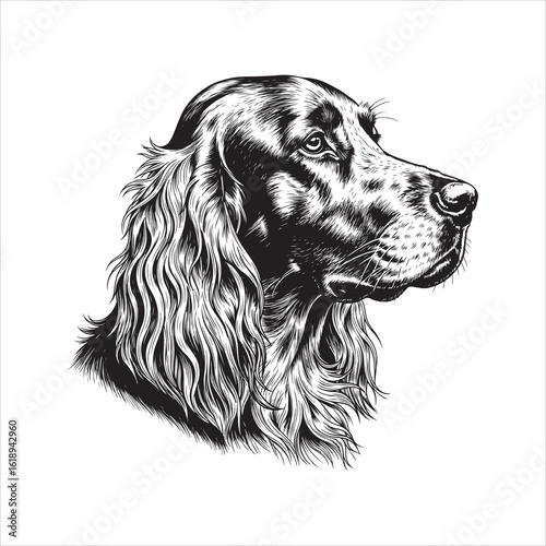 Black and White Engraving of an Elegant Irish Setter Dog Head Profile