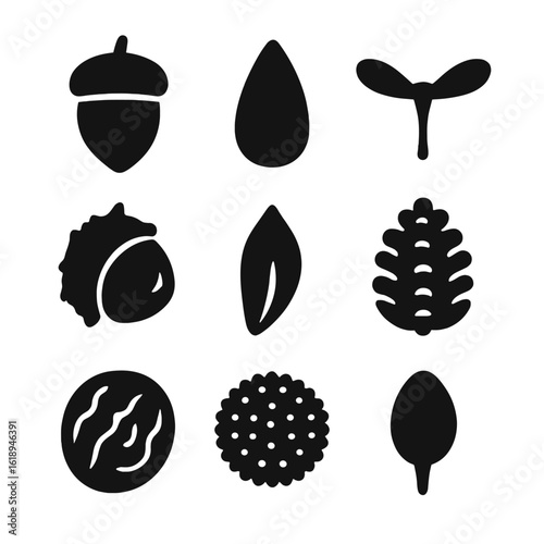 Tree Seeds Icons. Solid, filled icon set of tree seeds: acorn, pine nut, maple samara, chestnut, birch seed, cedar cone, walnut,