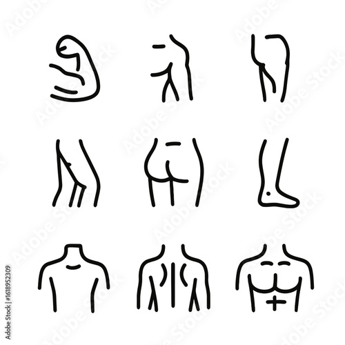 Anatomy Icon Grid. Solid, filled icon set of anatomy for strength training: biceps, triceps, quadriceps, hamstrings, glutes,