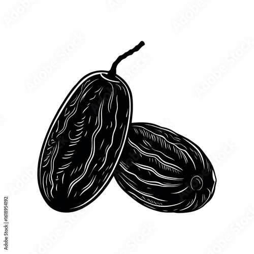 Hand drawn illustration of two dark raisins on a white background