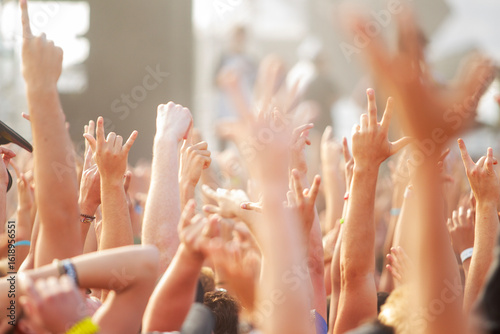 crowd at concert
