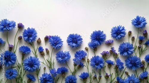 Vibrant Blue Flowers Arranged on a Light Background Showcasing Natures Beauty...