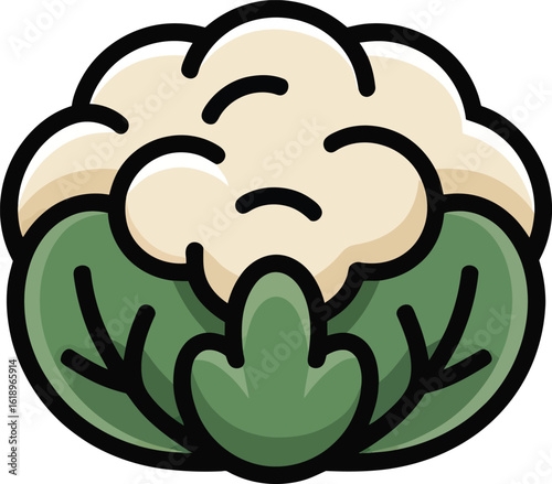 Fresh Cauliflower Vector Illustration With Green Leaves Healthy Organic Vegetable Nutritious Food Ingredient Icon Clipart Drawing Artwork