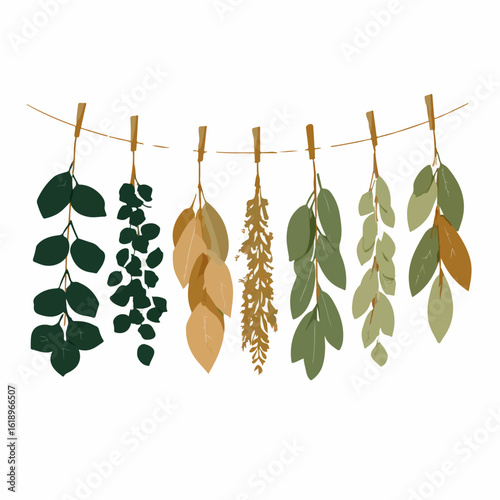 My Simple flat 2D icon of a autumn herbs hanging to dry isolated on a white background, vector design, ideal for animation, vector, web design, digital illustrations, and minimalist. vector set