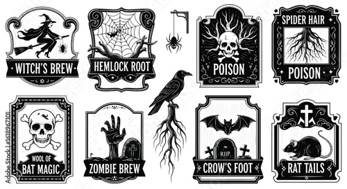 Witch broom spider web skull bat crow rat graveyard potion vector