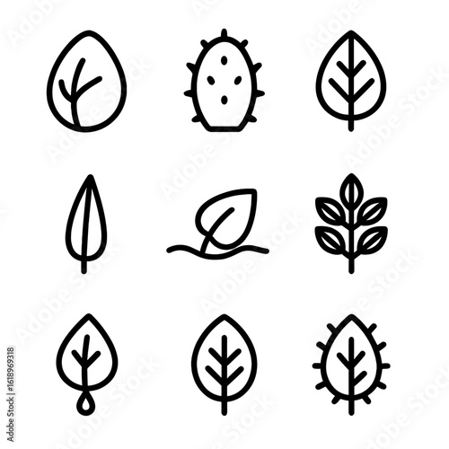 Leaf Icon Set. Solid, filled icon set of leaf adaptations: succulent leaf, spiny leaf, broad leaf, needle leaf, floating leaf,
