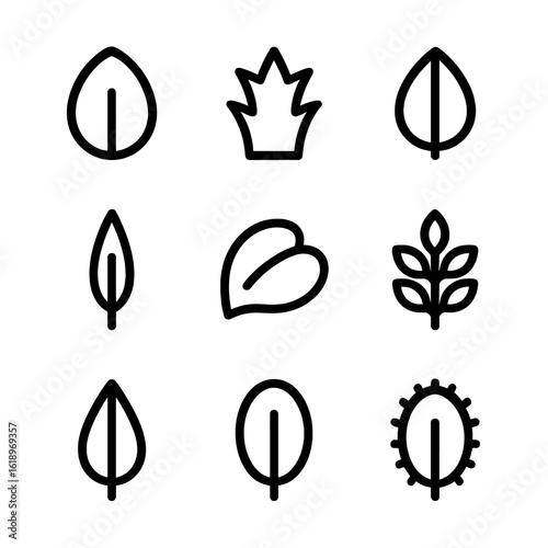 Leaf Icon Set. Solid, filled icon set of leaf adaptations: succulent leaf, spiny leaf, broad leaf, needle leaf, floating leaf,