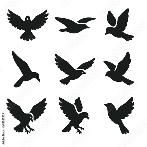 Bird Flight Icons. Solid style icons of bird flight poses: wings spread, gliding bird, bird mid-flap, bird diving, soaring bird,