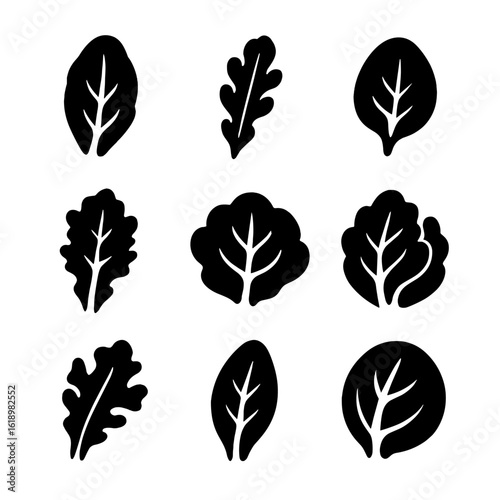 Variety of Salad Leaves. Solid, filled icon set of salad leaf varieties: romaine, arugula, spinach, kale, iceberg, butterhead, red