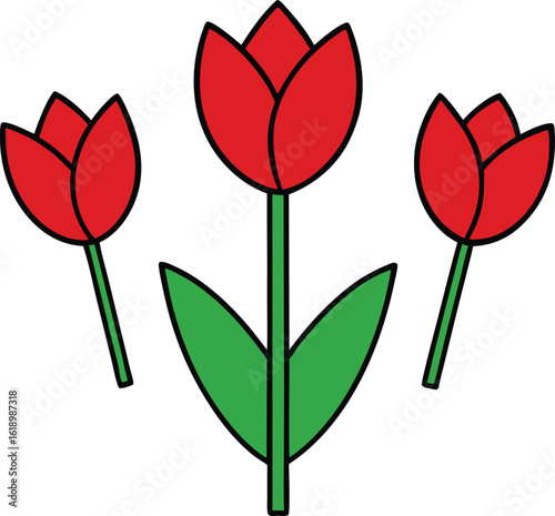 Red spring tulip flowers blossom on a white background