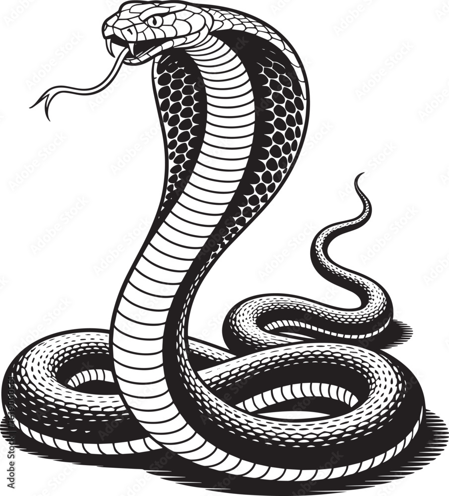 Fototapeta premium Cobra Snake Silhouette with Detailed Scales Venomous Reptile Graphic Design Illustration