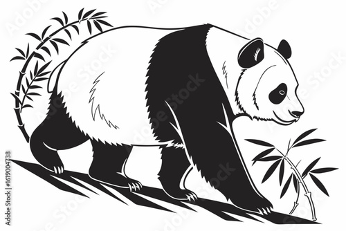 panda bear vector