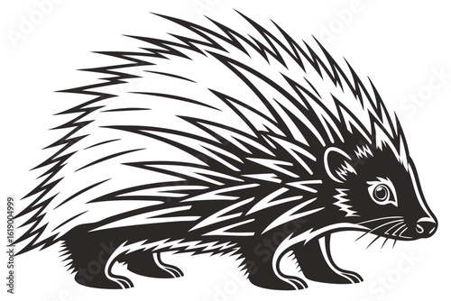 vector illustration of a hedgehog
