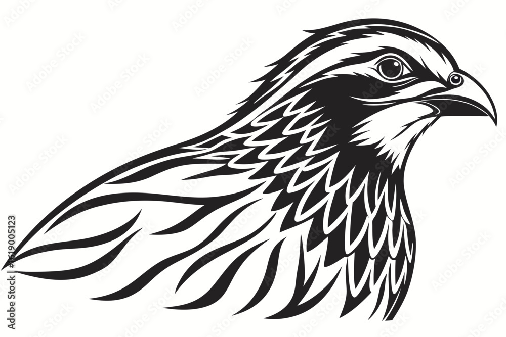 Naklejka premium head of eagle