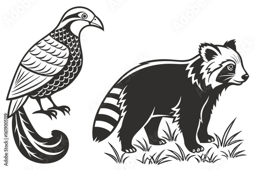 vector illustration of a lion