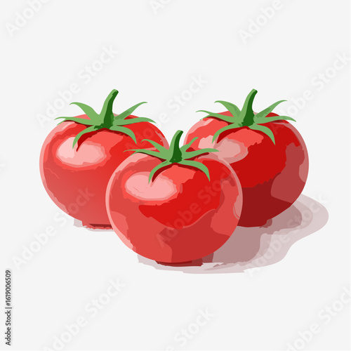 3 jolies tomates rondes en gros plan, arrière plan blanc, illustration