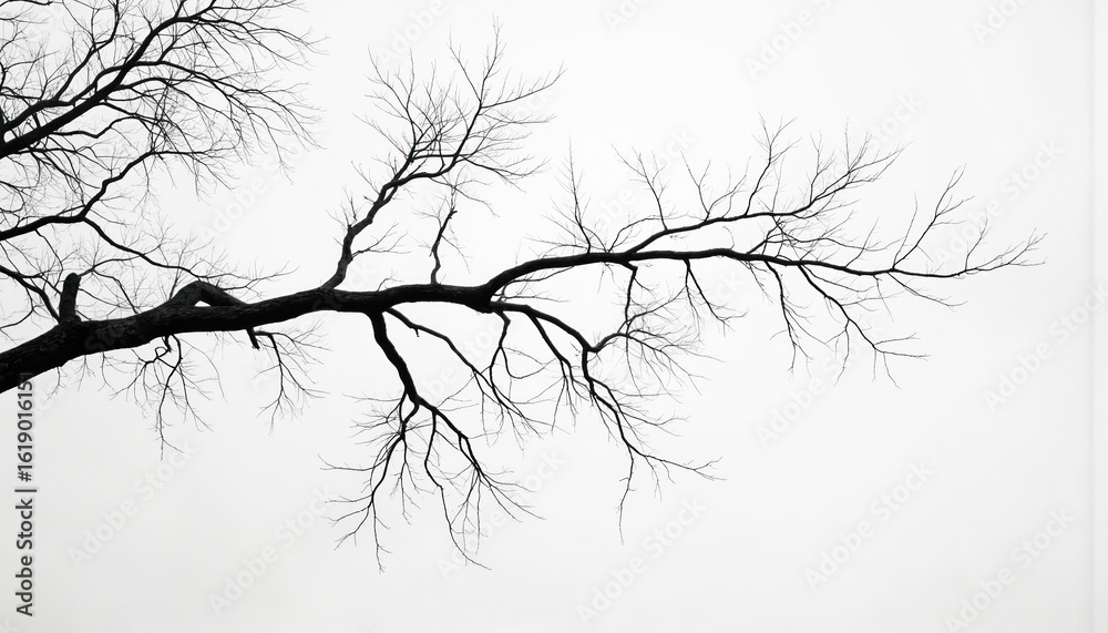 Fototapeta premium Striking black, white photo of bare tree branch, twisted, gnarled form reaching across bright, minimalist sky. Stark contrast, stark branches create dramatic, somber mood, ideal for conveying themes