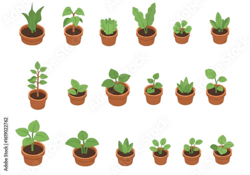 Plant seedlings in small eco-friendly pots.