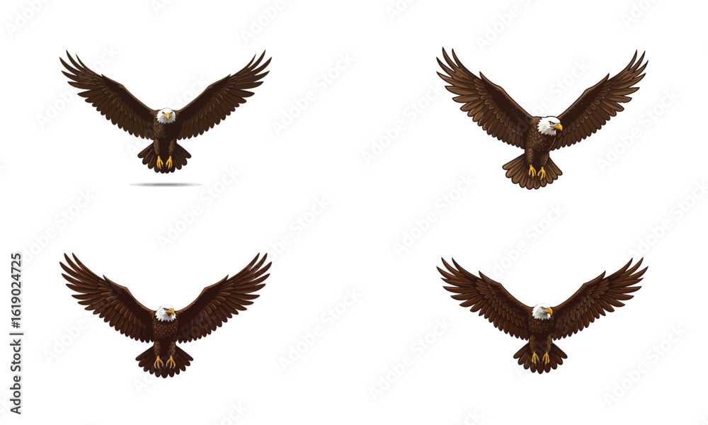 Fototapeta premium Flying Eagle Wings Spread - Side Pose Vector