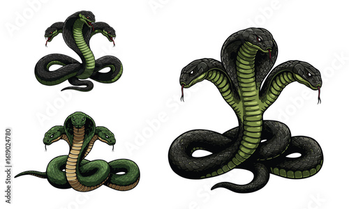 Coiled Cobra Snake Vector Set