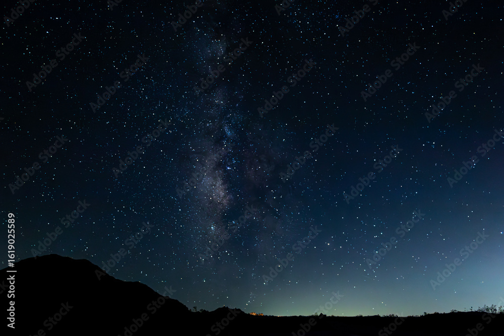 Naklejka premium Joshua Tree Night Sky 