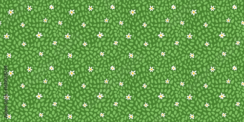 Vector seamless green grass with daisy flowers seamless pattern, abstract meadow, lawn texture background