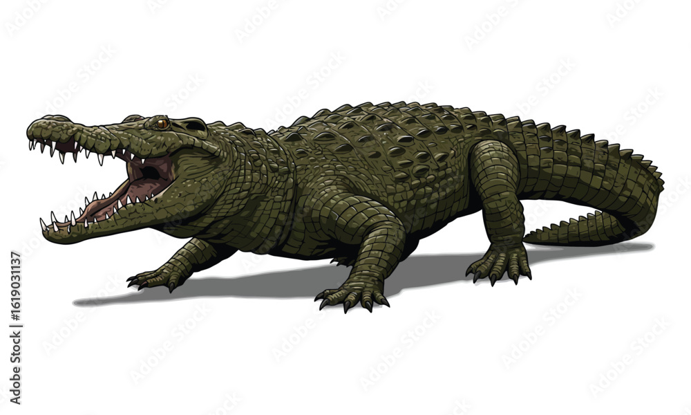 Obraz premium Crocodile Walking Pose – Wild Reptile Vector